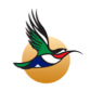 ساوث أفريكان ايرلينك